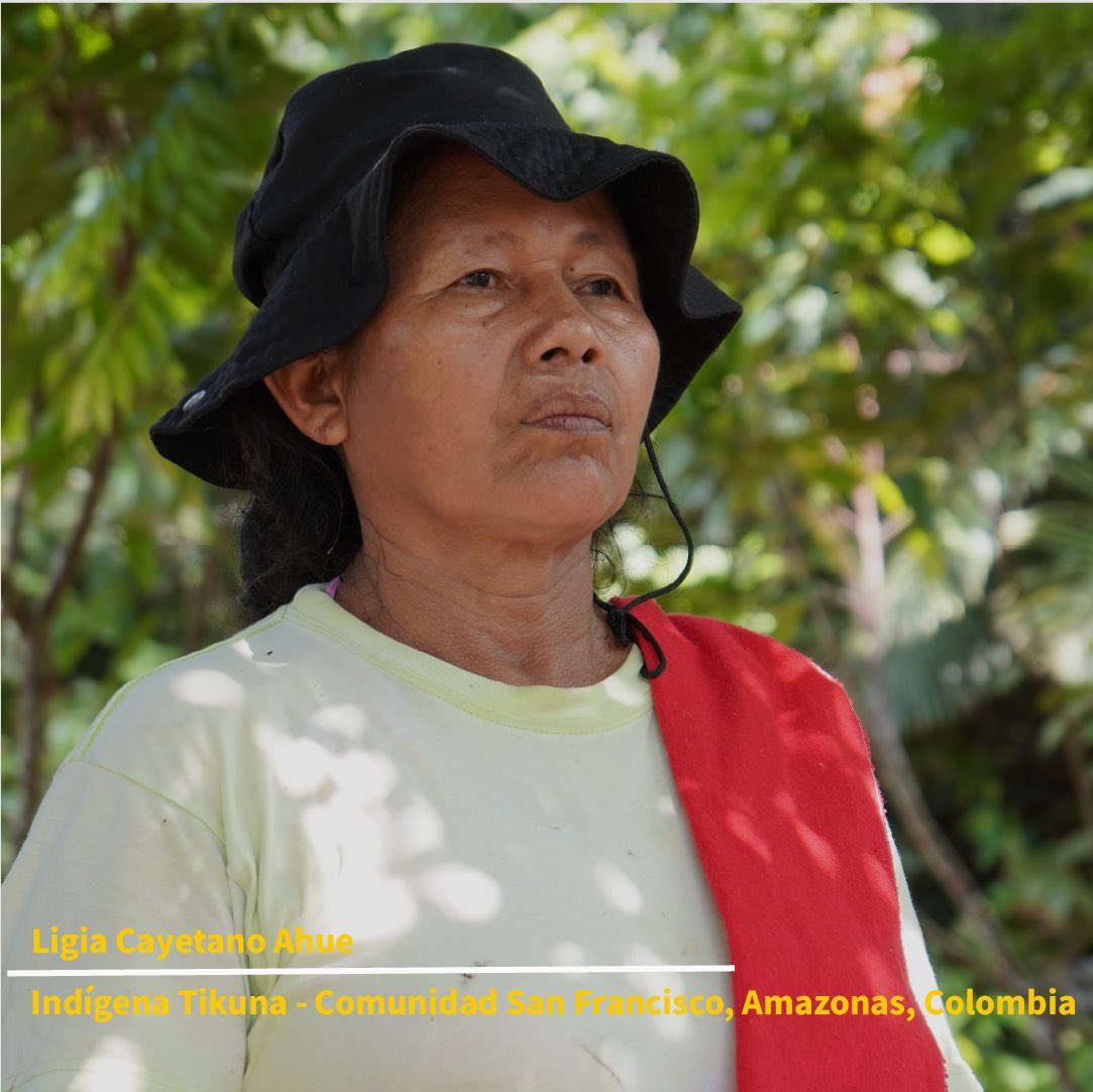 InstitutoSINCHI's tweet photo. 👩🏽En conmemoración del #DíaInternacionalDeLaMujer, compartimos estos rostros de mujeres de la #AmazoniaColombiana que históricamente han sido tejedoras de paz, guardianas del agua y defensoras del territorio y de la vida.👊🏽
#DiaDeLaMujerTrabajadora
#8M
#TodasSomosTrabajadoras https://t.co/Y3T6qIMVT0