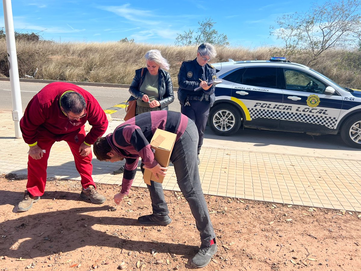 Alfarajuntament's tweet photo. 🦮 Alfara del Patriarca arreplega les primeres mostres d’ADN d’excrements 💩 canins per mantenir el municipi net 
🐾 L’Ajuntament d’Alfara del Patriarca ha realitzat una formació amb l’empresa ADN Canino per a posar en marxa la campanya

ℹ️ https://t.co/a8q3yT1LQd

@ADNcanino_es https://t.co/rZJYA17K20