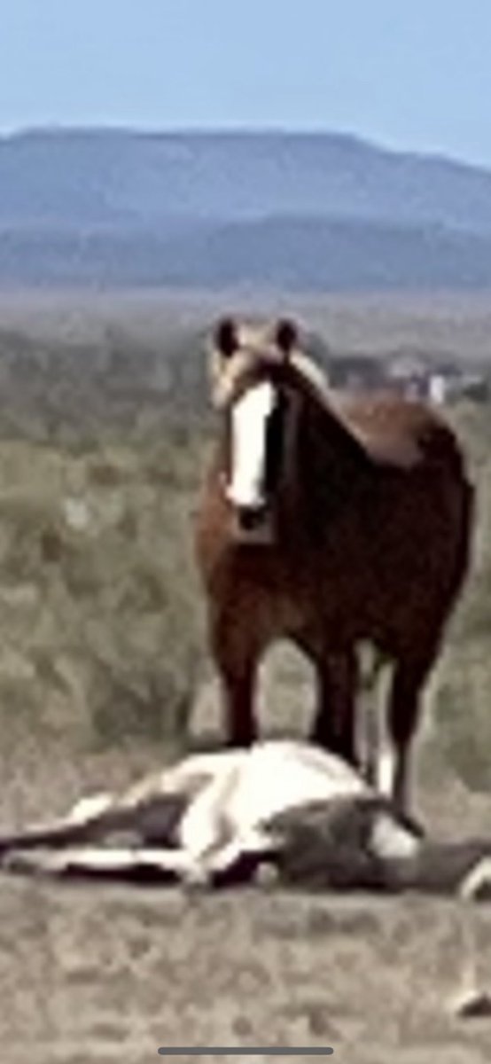 cis ppl hate when i’m in their bathroom but they love to be in mine……..