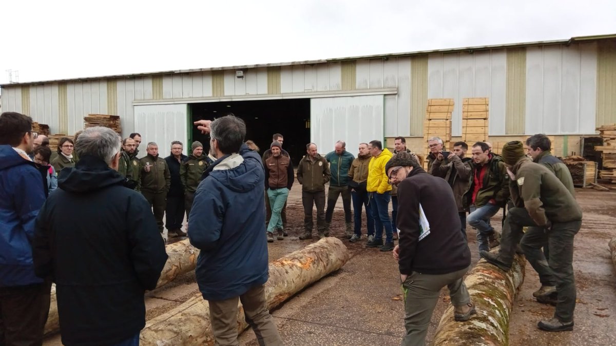 Grupo Operativo GO Fagus tweet media