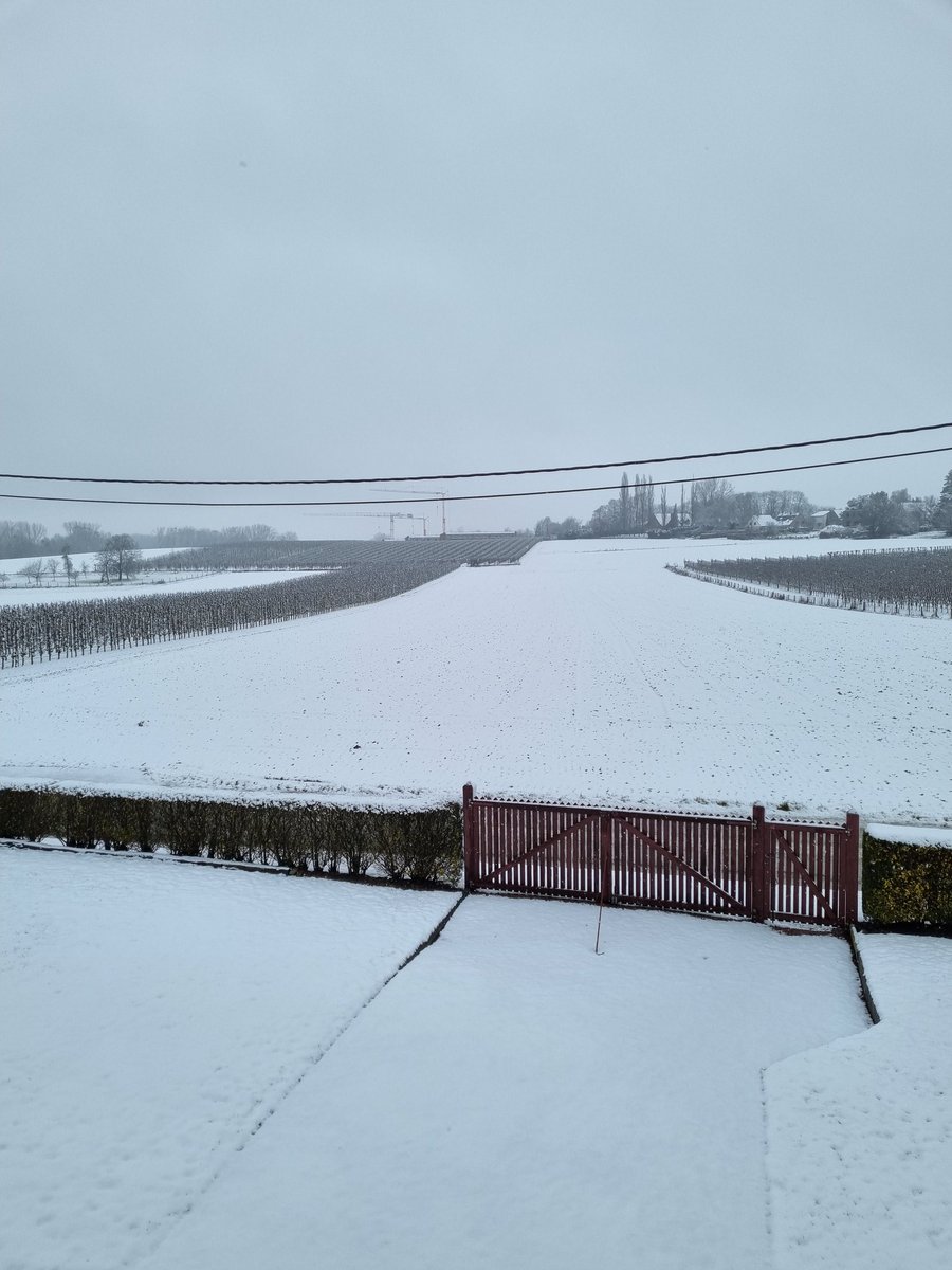 ElsG20's tweet photo. Hopelijk word ik niet ondergesneeuwd door de véle mooie sneeuwfoto's vandaag. 😉Eentje kan er nog wel bij,denk ik zo.😊
Het blijft prachtig om die sneeuwlandschappen te zien.📷Bierbeek,8 maart 2023 om 10.33🙏⛄️🌨 🍀#vrtweer #sneeuw #sneeuwlandschap #vlaamsbrabant https://t.co/erOrbUEPfx