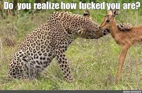 TraderSZ (@trader1sz) on Twitter photo 