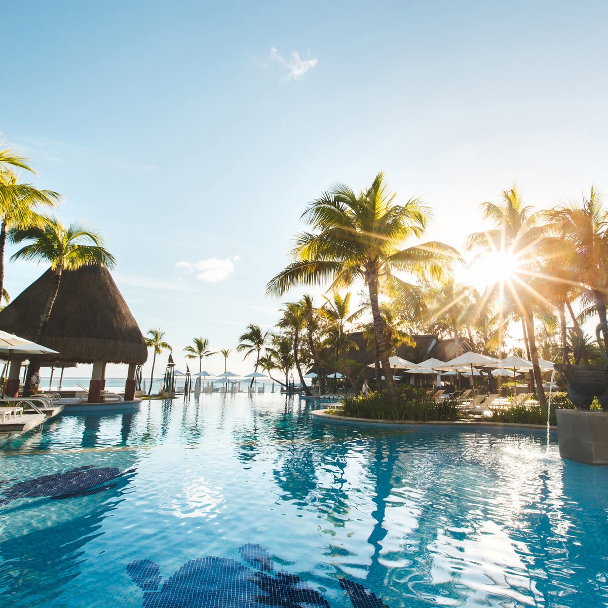 Toucan_Fr's tweet photo. ✔️ Toute l'équipe vous souhaite une belle journée et vous offre ce petit rayon de soleil pour illuminer votre matinée ! 🌴☀️💦
#Toucan #Piscine #SwimmingPool #WaterLily #NetSkim #PoolGom #PoolGomXL #EasyPoolGom #NetLine #Spa #Home #Water #Garden #Pool #Jardin #Architecture https://t.co/4RisVJAOtD