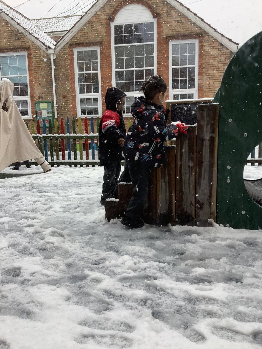 North Town Pippins tweet media