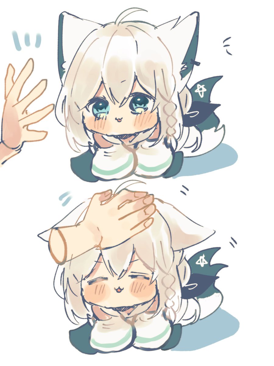 shirakami fubuki 1girl fox ears animal ears fox girl tail fox tail white hair  illustration images