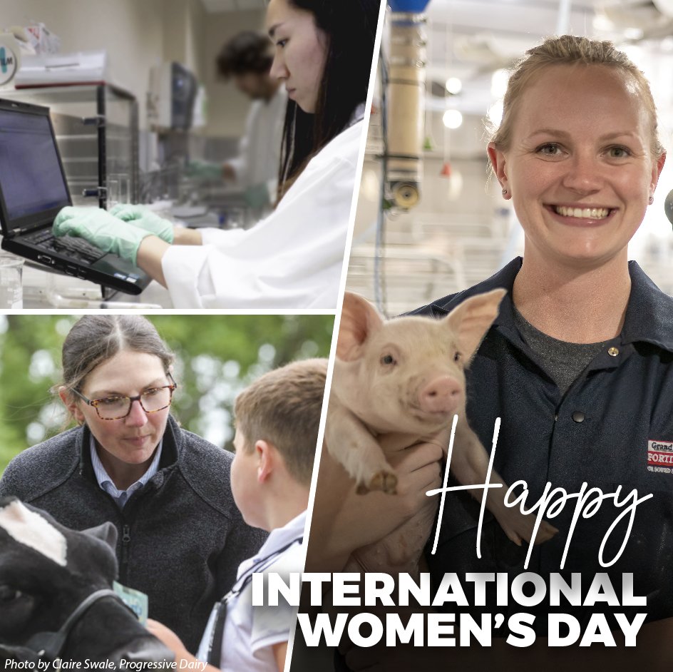 Happy #InternationalWomensDay! We're grateful for the many, extremely talented women we have on our team at GVF. They play a vital role in feeding the world &amp; we’re grateful for all their incredible hard work, dedication, &amp; passion for farming. Thank you for all that you do!