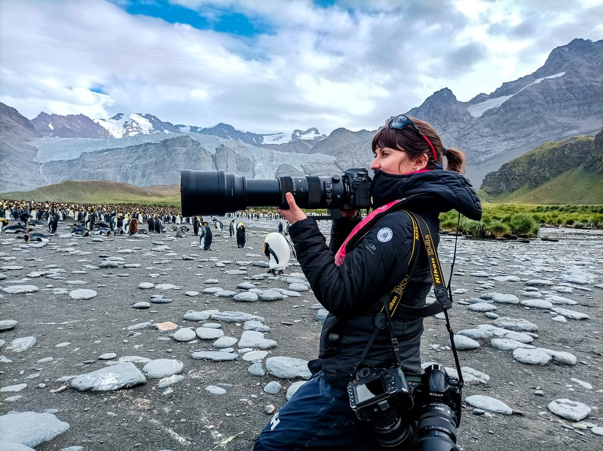 Les femmes continuent de repousser les limites de l'exploration dans le Nord. Laurence Fisher, photographe documentariste &amp; guide expéditrice fait partie de ces femmes. femmesalpha.com/inspirations/l…
 #journeeinternationaledesfemmes