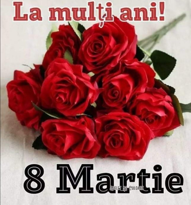 CamyTunea's tweet photo. @nadiacomaneci10 https://t.co/QfBCSktKtq