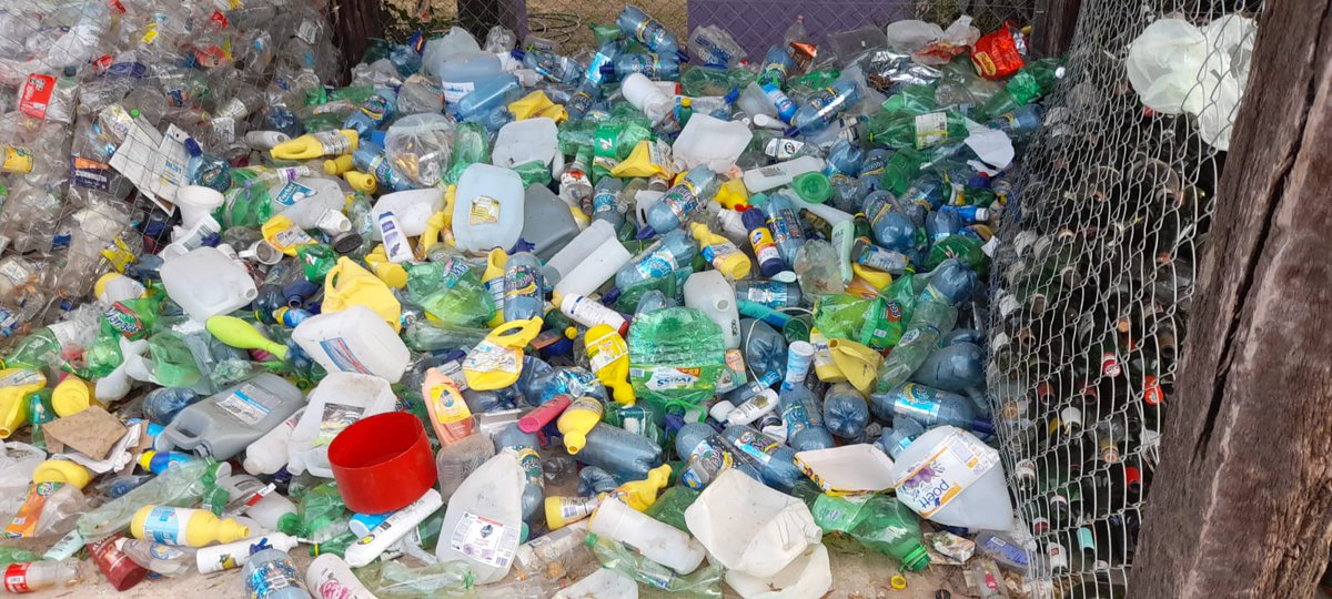 Ecomarea Asociación Civil tweet media