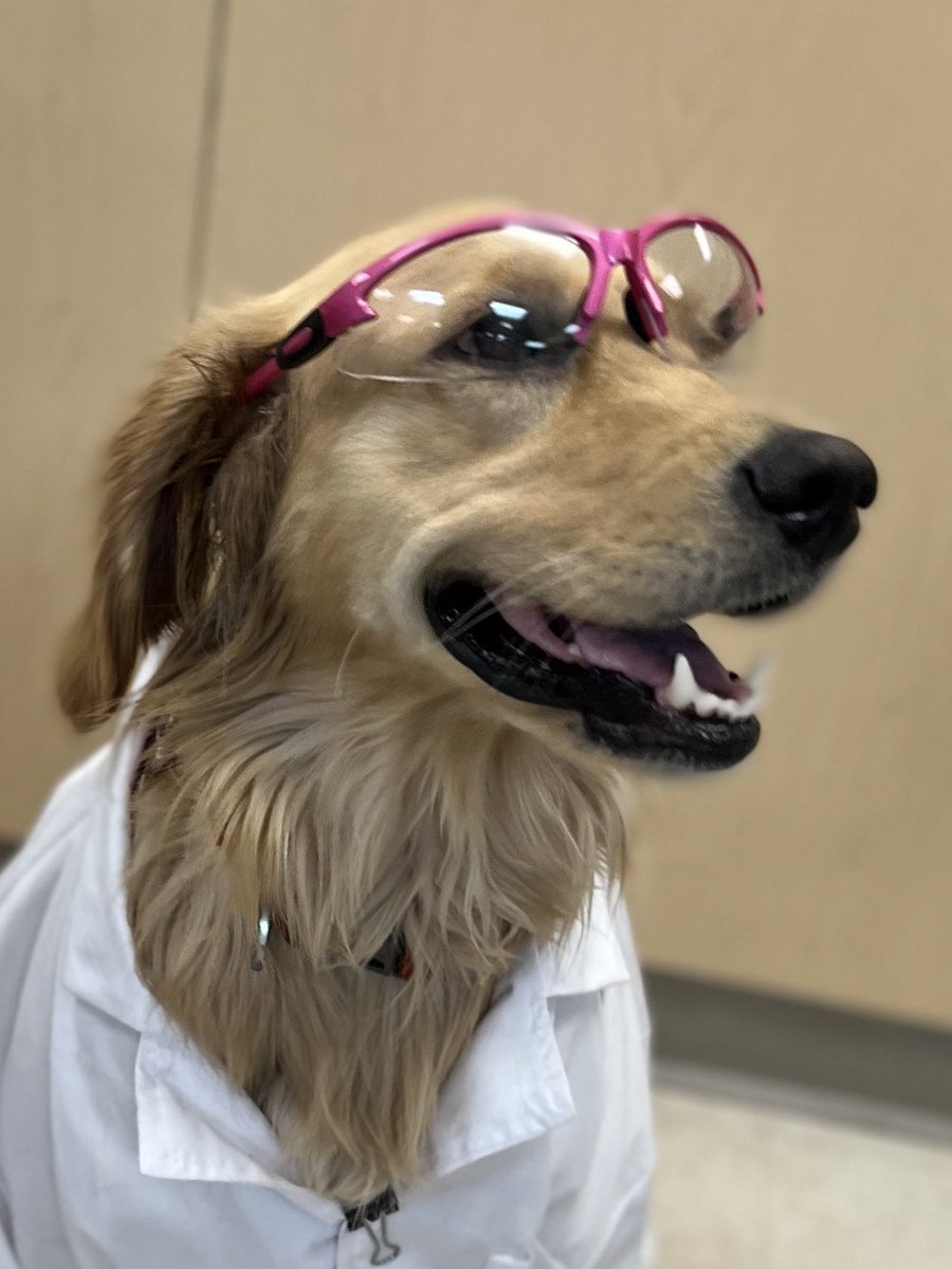 In honor of #InternationalWomensDay here is a mega thread of a bunch of amazing scientists you should follow!