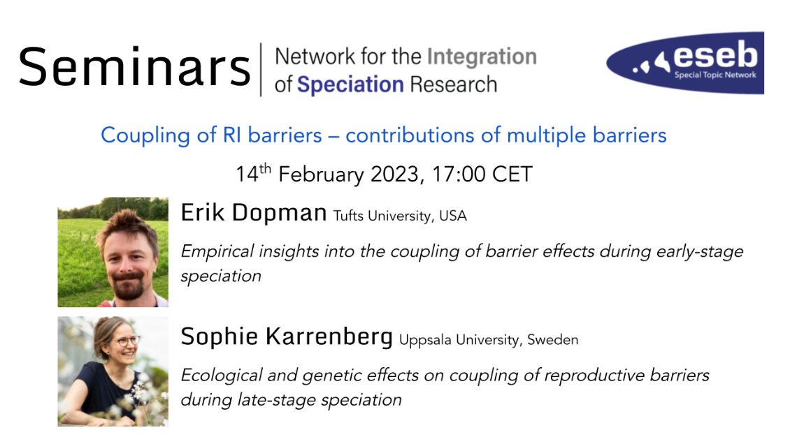 The next IOS seminar is 14 Mar 5 pm CET! Sophie Karrenberg (Uppsala Uni) and Erik Dopman (Tufts Uni) will discuss “Coupling-The contributions of multiple isolating barriers”. Link on website: speciation-network.pages.ist.ac.at/seminar-series/ **Note: Time zones change near this date so please check before.