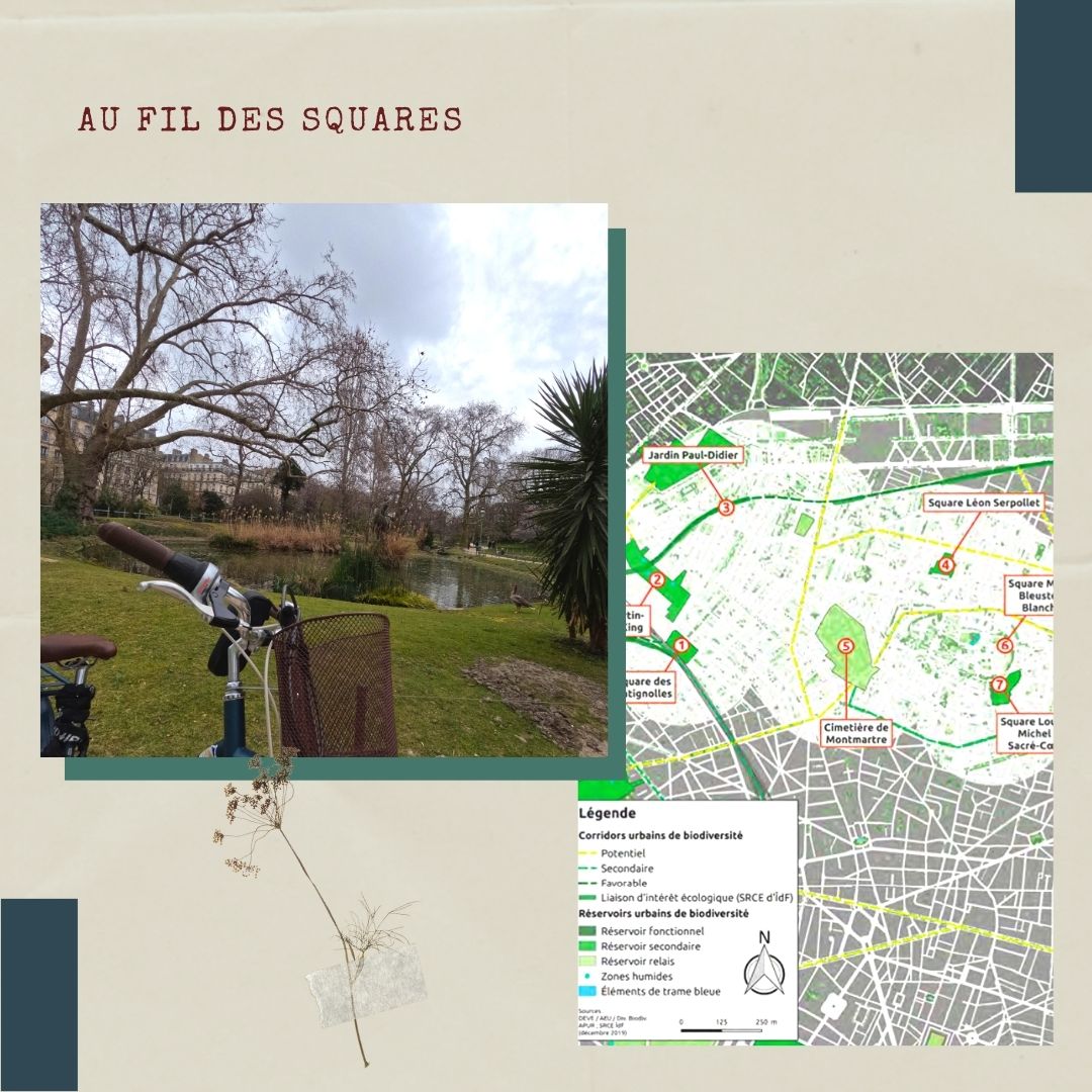 timonetpumbike's tweet photo. 4ème parcours de l'Atlas de la Nature à Paris : des Batignolles au Sacré-coeur au fil des squares et espaces verts 🚴‍♀️🚴🌱
.
.
.
#atlasdelanature #parisfrance #parisigers #parisavelo #parismaville #francevelotourisme #franceavelo #francefr #visitfrance #visitparis #parisvibes https://t.co/6dm2t0JEnx