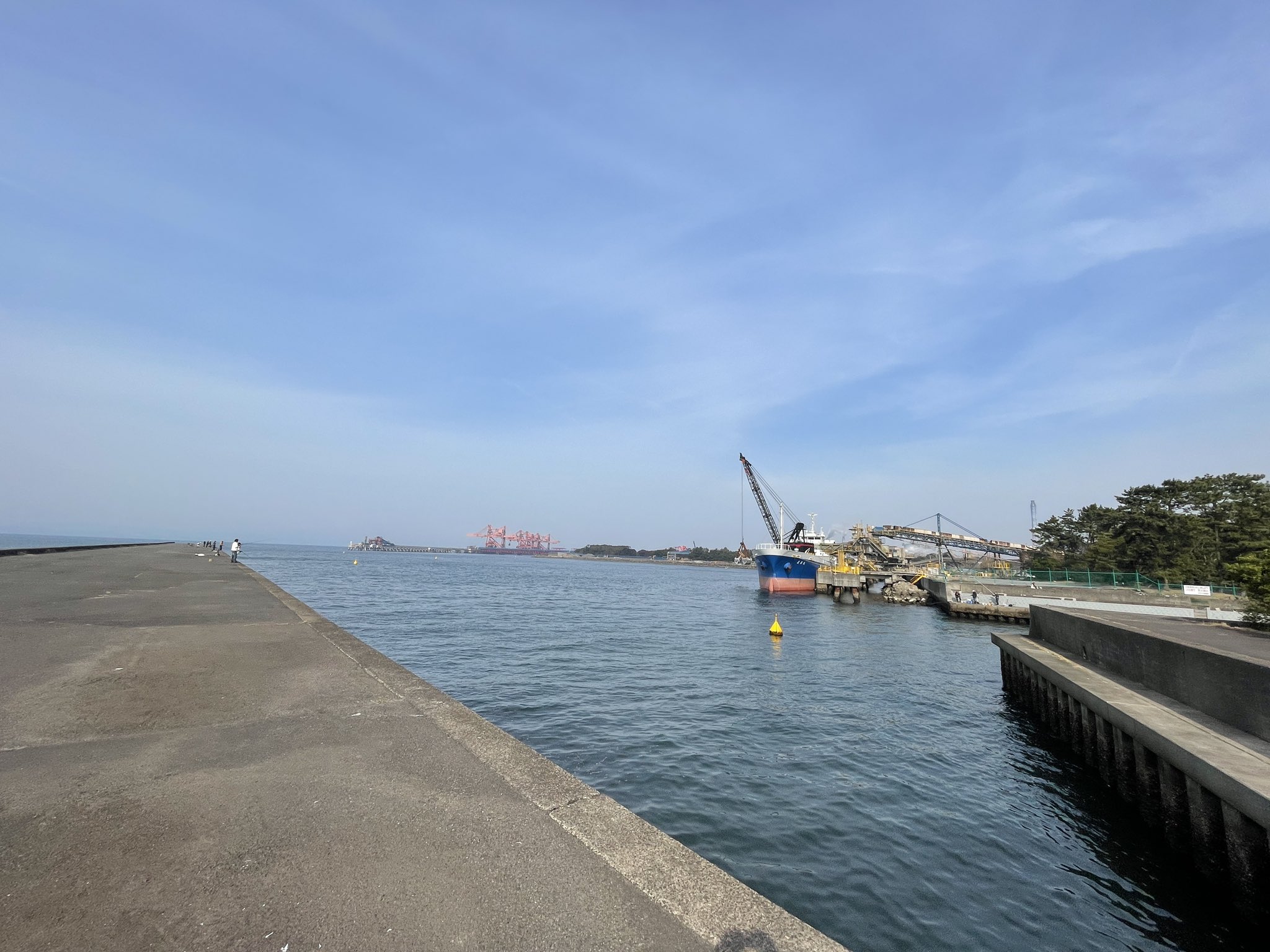 SEI (わしむ) on Twitter 