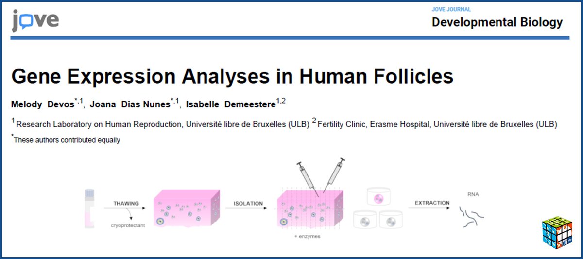 🚨 New Lab Publication Alert!! Happy to share the publication of our protocol in @JoVEJournal on how to assess gene expression in ovarian follicles 👉jove.com/t/64807/gene-e… #fertility #reproteam #science #research #phdlife #ovary #obgyn #reproduction