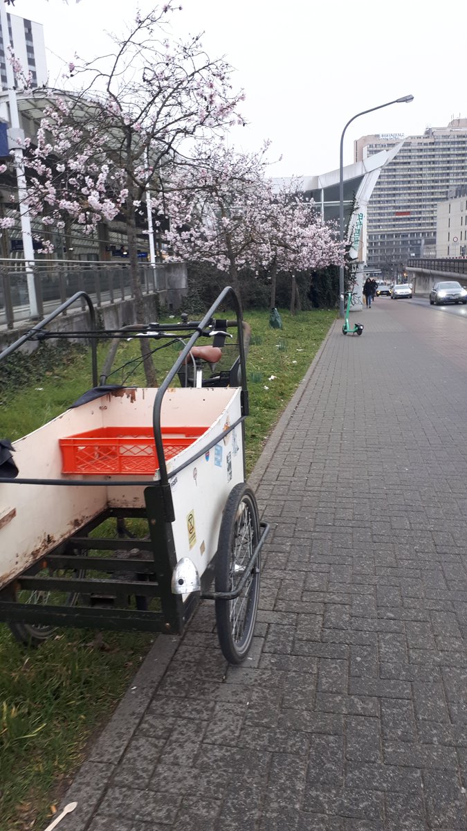 brueckenkaffee's tweet photo. Immer wen die Mandeln blühen im Südwesten ist in #ludwigshafen #Brückenkaffee. Alles Gute zum sechsten Geburtstag. Freier Kaffee und freie Muffins gabs wie immer natürlich auch. https://t.co/NcWI4hXono