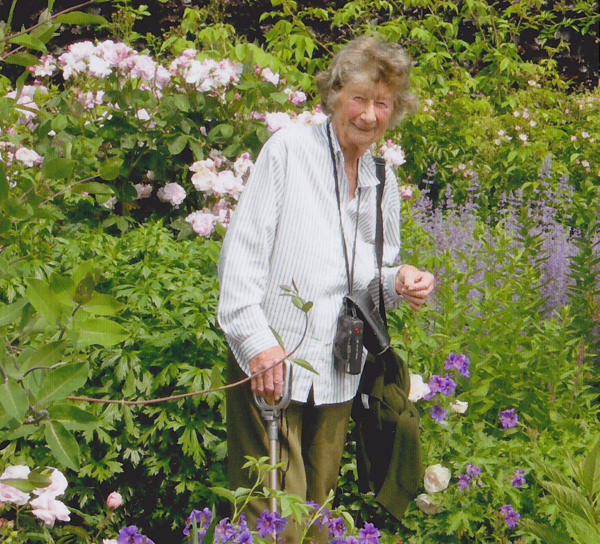 pathavers's tweet image. Remembering some of my horticultural heroes @waterperry on International Women’s Day. Beatrix Havergal, Joan Stokes and Mary Spiller @thegardenstrust @waterperrysimon #InternationalWomensDay #horticulturalheroes #waterperrygardens #gardeningtwitter
