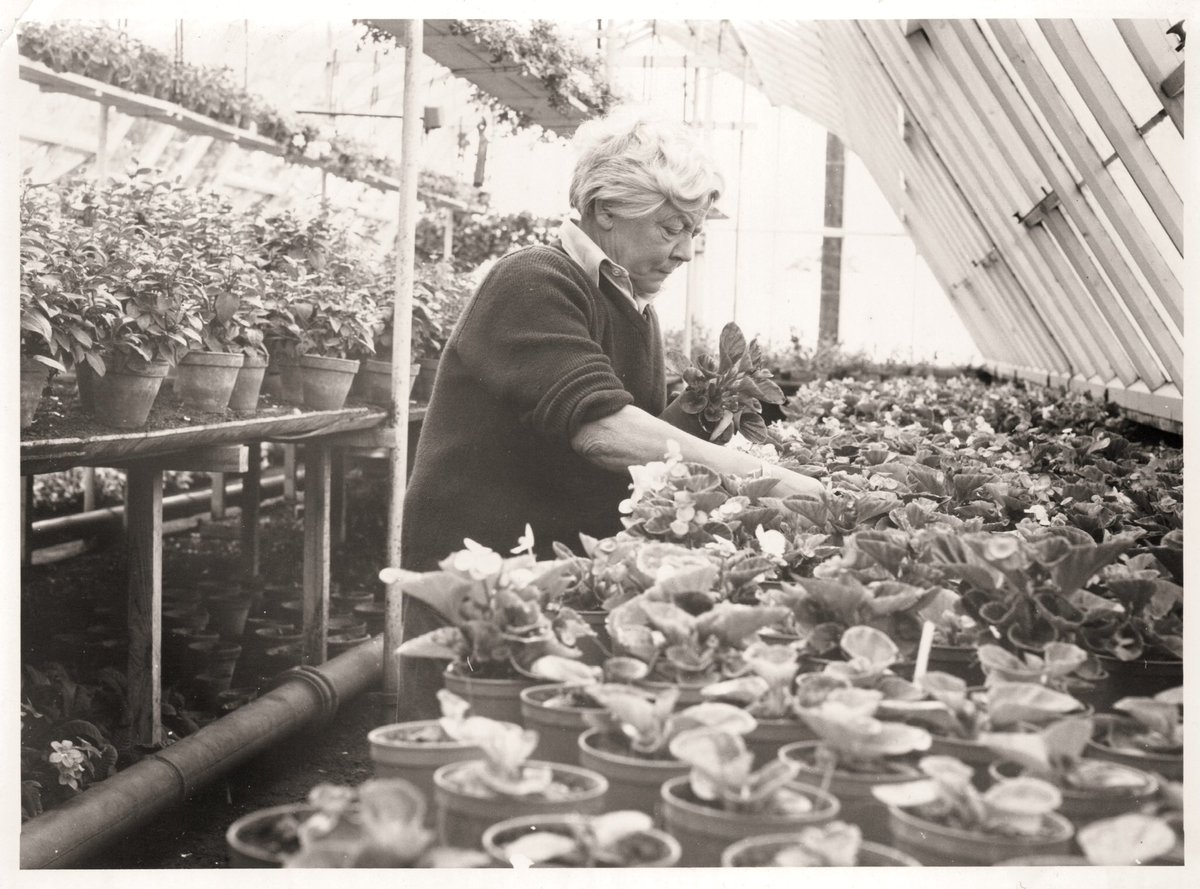 pathavers's tweet image. Remembering some of my horticultural heroes @waterperry on International Women’s Day. Beatrix Havergal, Joan Stokes and Mary Spiller @thegardenstrust @waterperrysimon #InternationalWomensDay #horticulturalheroes #waterperrygardens #gardeningtwitter