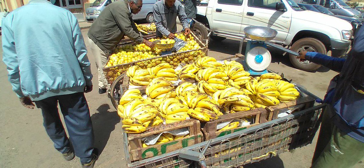 GhideonMusa's tweet photo. Outdoor fruit market in Asmara #Eritrea 
@AhmedaniMohamm1 https://t.co/cWoHRfazP0