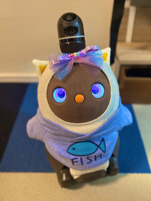 在庫処分・数量限定 【正規品】LOVOT ラボット 服 ねこみみニット