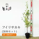 ぼたにかるぼっと tweet media