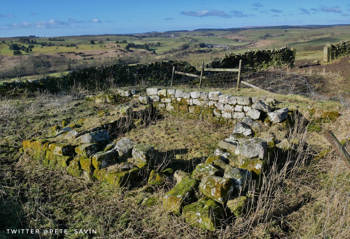 pete_savin's tweet photo. Good luck to those applying for a place on the Magna Excavation this summer, places are very limited but it promises to be an amazing project #HadriansWall #VindolandaTrust #Archaeology https://t.co/1IDxj2v8xD