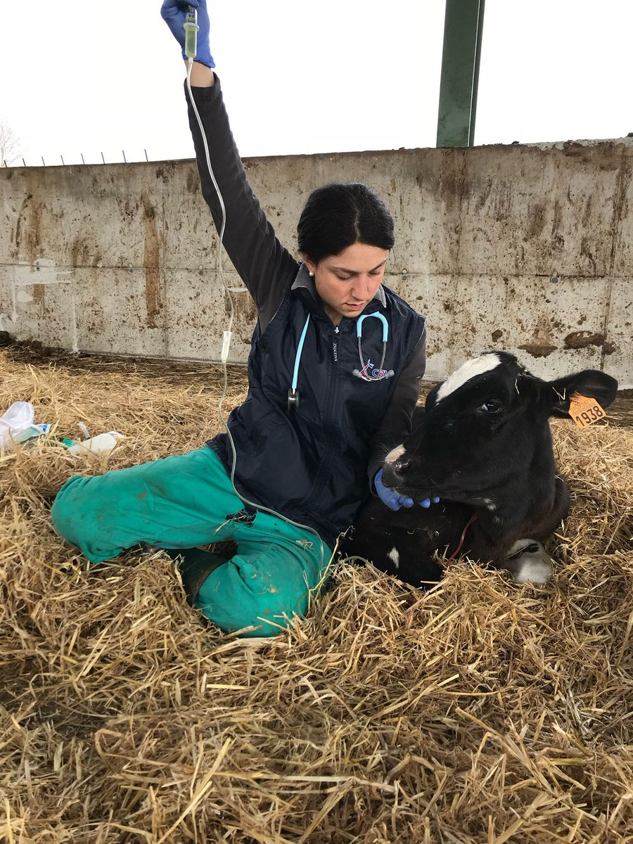 🟣🐄 L'Imma és una de les moltes persones que estan darrere de <a href="/vaquersplanavic/">Vaquers Plana de Vic</a>!

Amb dones compromeses com ella, compartim una manera de fer, d'entendre i de viure. Per això, visibilitzem la seva feina indispensable i la de tantes altres que treballen en el sector primari! #8M