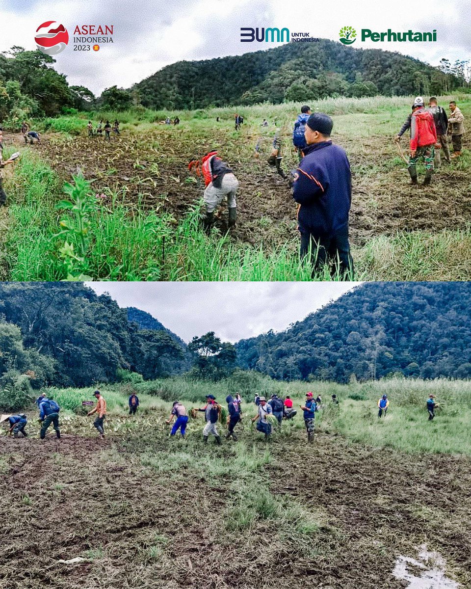 PerumPerhutani's tweet photo. #SobatRimba, Perum Perhutani bersama dengan Econique (Perhutani Alam Wisata) sebagai pengelola Wisata Ranca Upas, stakeholders, pemerhati lingkungan dan pihak-pihak terkait melakukan rehabilitasi lahan berupa penanaman kembali sebagai upaya pemulihan ekosistem di Ranca Upas. https://t.co/Om3HpLdGVZ