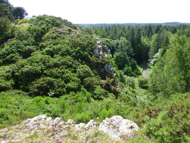 silverhills64's tweet photo. Wish list for this summer - Kyloe Hills in #Northumberland has a #promontary partial #bivallate fort with 2 ramparts, evidence of hut circles and closely packed #orthostats #HillfortsWednesdat https://t.co/pDeRL6SHw2