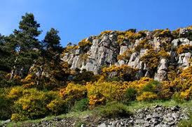 silverhills64's tweet photo. Wish list for this summer - Kyloe Hills in #Northumberland has a #promontary partial #bivallate fort with 2 ramparts, evidence of hut circles and closely packed #orthostats #HillfortsWednesdat https://t.co/pDeRL6SHw2