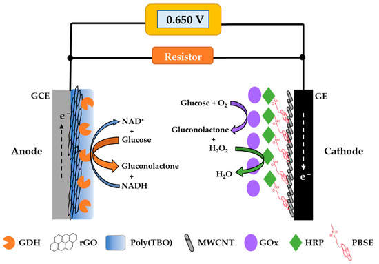 Biosensors_MDPI's tweet photo. Article by Kantapat Chansaenpak et al. | Development of a Sensitive Self-Powered Glucose Biosensor Based on an Enzymatic Biofuel Cell 
https://t.co/Ym526Z6yCw 

@MDPIOpenAccess 
@sutnews 
@UCSF 
#glucose #selfpowered #biosensor #biofuelcell #glucoseoxidase #openaccess https://t.co/h3X24UBnMS