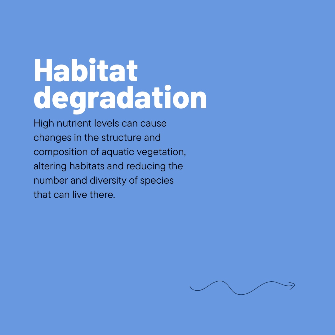 WaterOffsets_UK's tweet photo. Did you know that too much nutrients in bodies of water can cause serious harm to aquatic ecosystems? πͺΈπ
Let's do our part to keep our waterways healthy by reducing nutrient pollution! #waterquality #environment #sustainability
-
#WaterOffsets #WaterNeutrality #WaterStre... https://t.co/6h4gbLmJfN