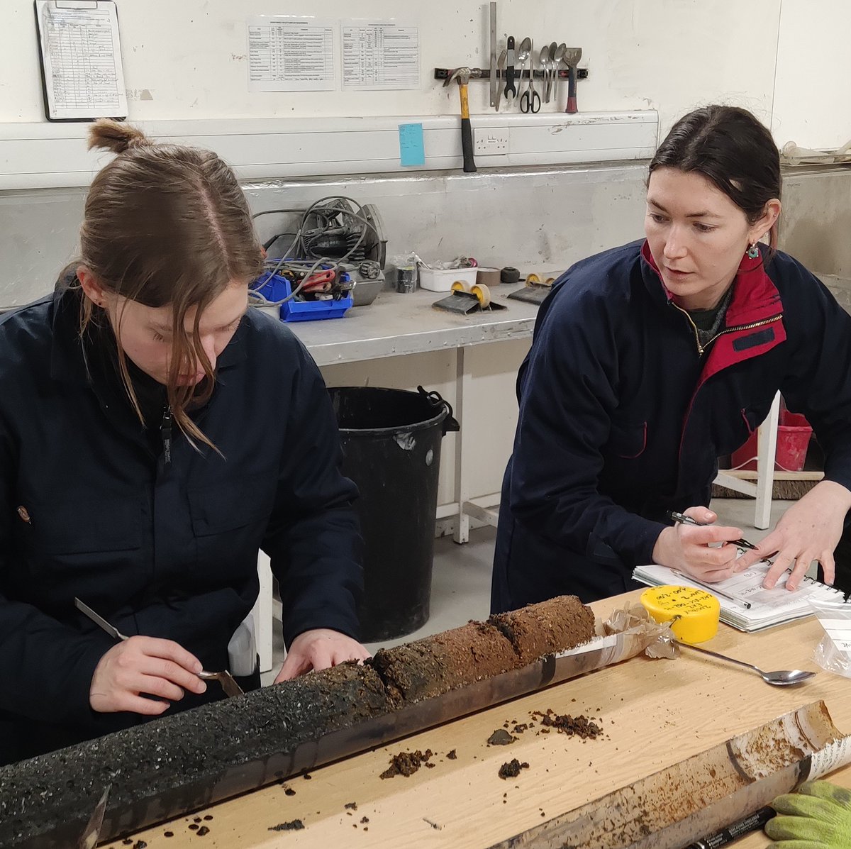 MA_LTD's tweet photo. #InternationalWomensDay Today, we celebrate the remarkable
achievements of women and their contributions to society. We are
proud to have many talented and dedicated women on our #MALtd team!
🌊⚓🏺
#IWD2023#ChooseToChallenge#GenderEquality#EachforEqual#MaritimeArchaeology https://t.co/g147AfgkiK