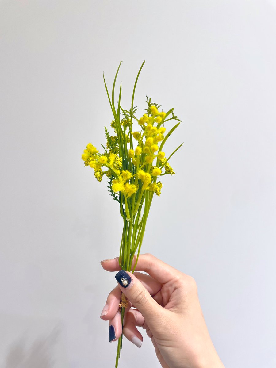 かわいい https://t.co/HA2FX6vG9p