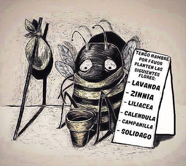 EcoInventos's tweet photo. Si quieres ayudar a las abejas 🐝, puedes plantar 🌱🌼 👇

https://t.co/RL6zxk8PNv https://t.co/CrTUwF3mO2