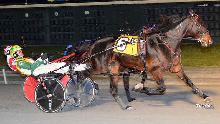 graybrigade's tweet photo. #OnThisDay in 1969, #DoverDowns opened in Dover, DE with thoroughbred racing. Later in 1969, #harnessracing debuted there & flat racing eventually ended in 1974. The track is co-located with the @MonsterMile as part of @NASCAR. The casino opened in 1995. @BallysDover 📸: SC https://t.co/eQ77pHpfIa