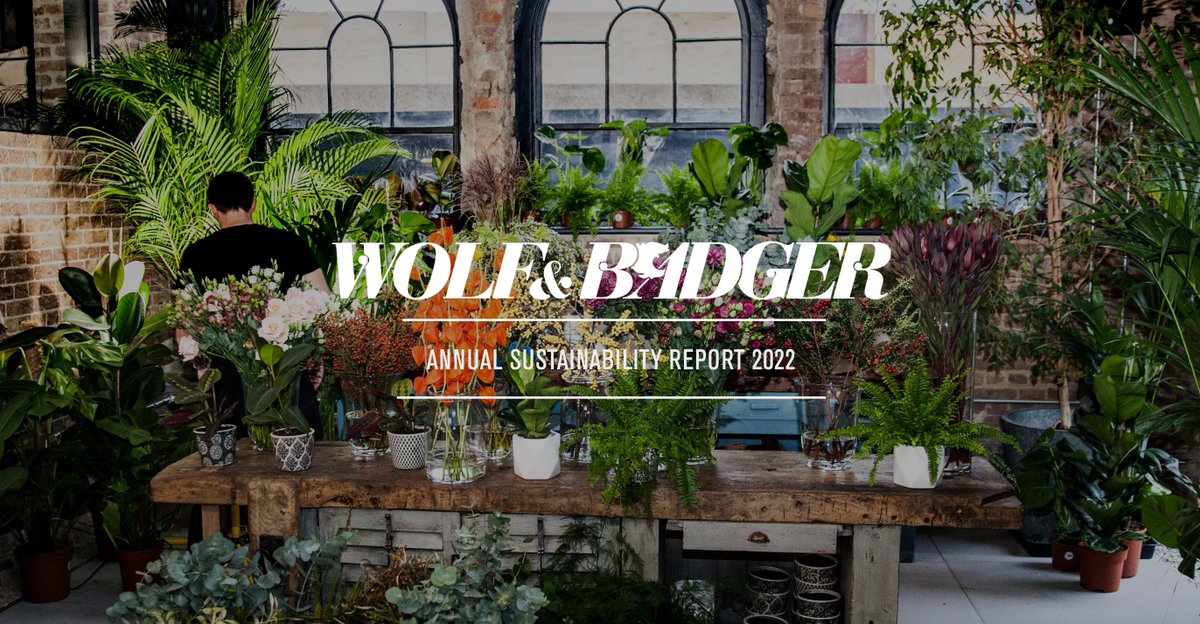 Tech Zero tweet media