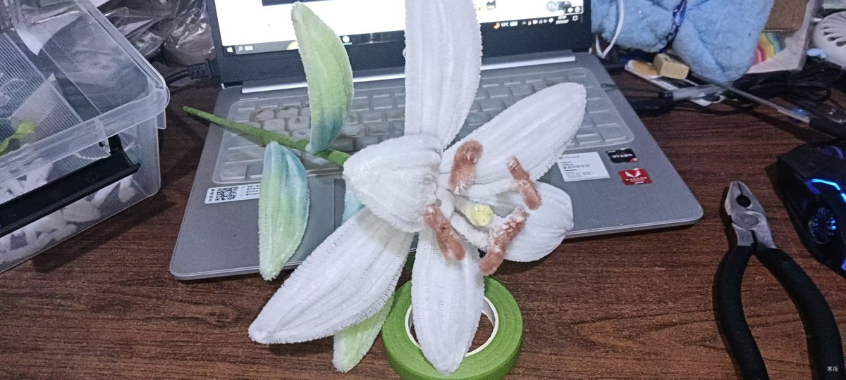 林夜银 (@linyeyin1) on Twitter photo 