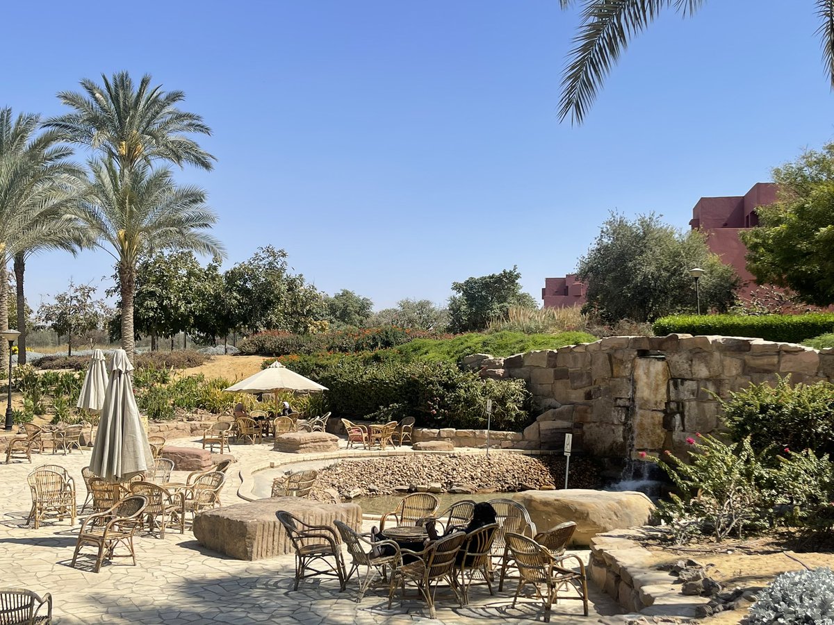 Mernaatefff's tweet image. Need a break from the world before midterms? Pass by the Aromas, one of the most scenic places on campus, to chill and breathe. 
#JRMC2202 #JRLweb