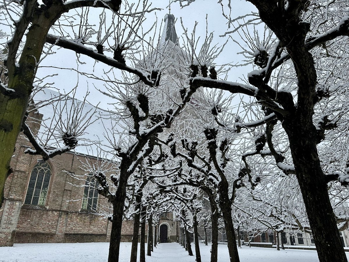 erica_v_leeuwen's tweet photo. Sneeuw in #Kloetinge 🌨️❄️
@weermanrobert @Alpenweerman  @Talpaweer @omroepzeeland @EdAldus @BuienRadarNL #sneeuw @provzeeland @helgavanleur @weerenradar_nl @ricoschroder #codewit @weeronline @GemeenteGoes @WNLVandaag  #Zeeland @Goesisgoes #codewit @SevereWeather_N https://t.co/ghUZGZVYT3