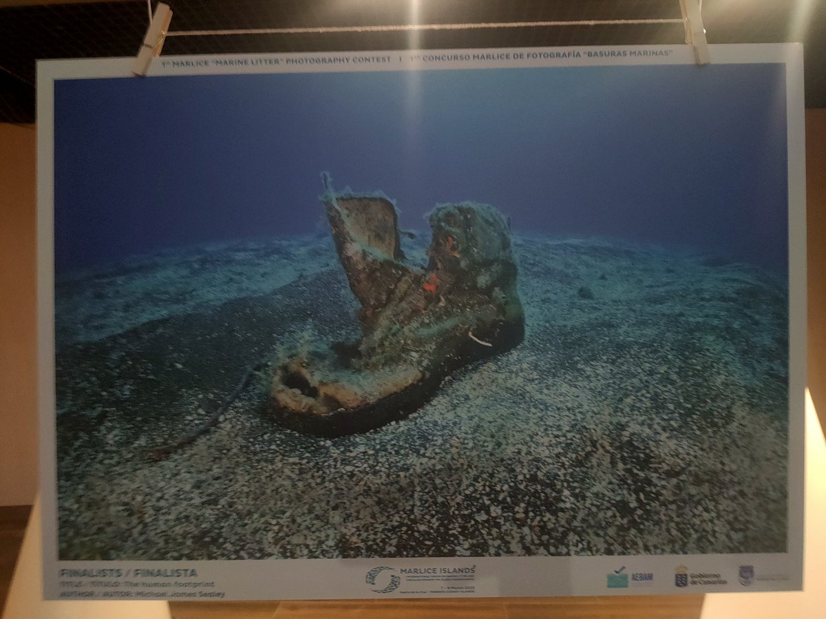 Pleased to see that my photo 'The human footprint' was selected as finalist in the #MARLICEISLANDS2023 forum

@basurasmarinas