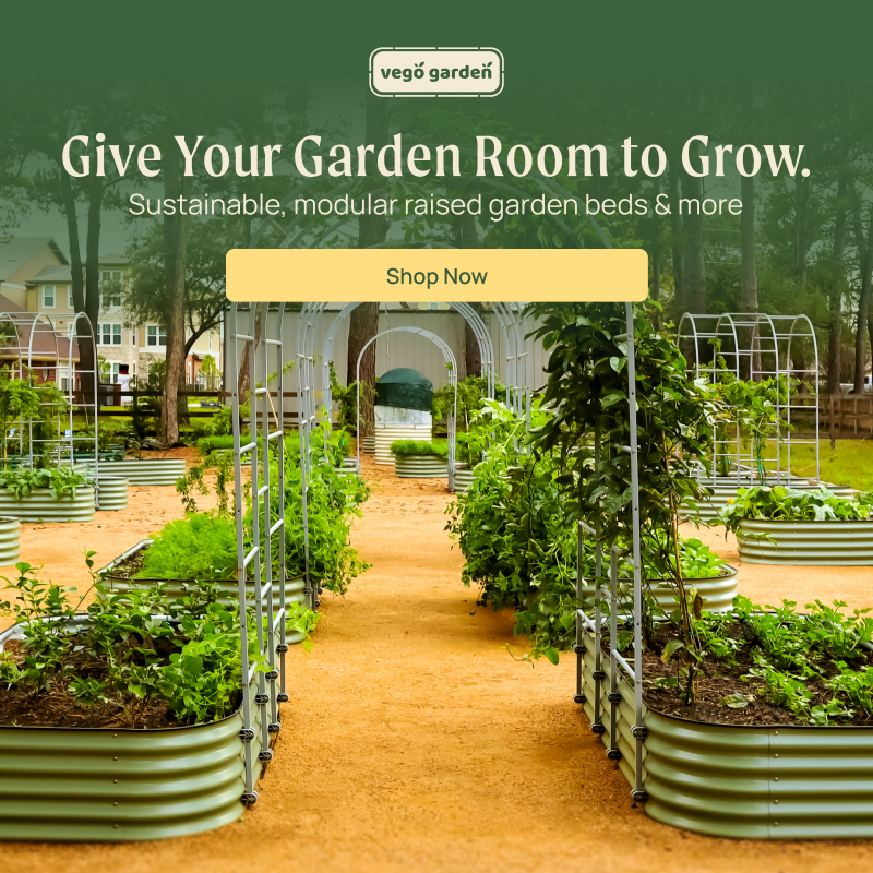 Want to learn more about sustainable gardening? Join our community of gardening enthusiasts and connect with like-minded individuals. Get gardening inspiration and share your gardening experience. Follow us on Twitter and let’s grow together! 
#GardeningInspiration #GrowWithUs