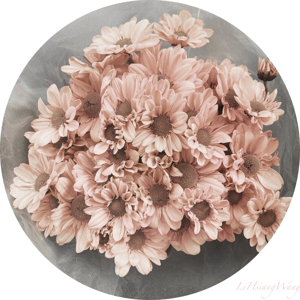 LiHsiangWang's tweet image. 右邊是原圖。
#Hipstamatic
#AuroraNCL
#ATypePlate
#Standard
#PICSPLAY2(裝飾框，沒有調色)