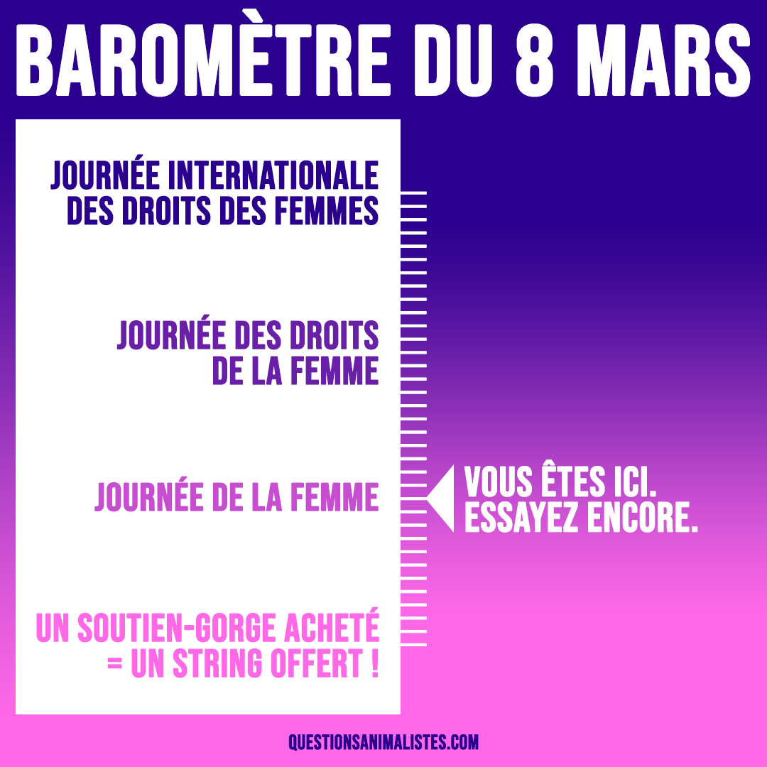 FlorenceDell's tweet photo. ✊Aujourd'hui c'est le #8mars ! 

👉C'est la Journée internationale des droits des femmes, pas la journée de la femme ou la fête des fleurs.

📏Petit baromètre à utiliser librement pour rectifier le tir. https://t.co/V7Md2HpsUT

#JourneeInternationaleDesDroitsDesFemmes https://t.co/el4OI3tCm5