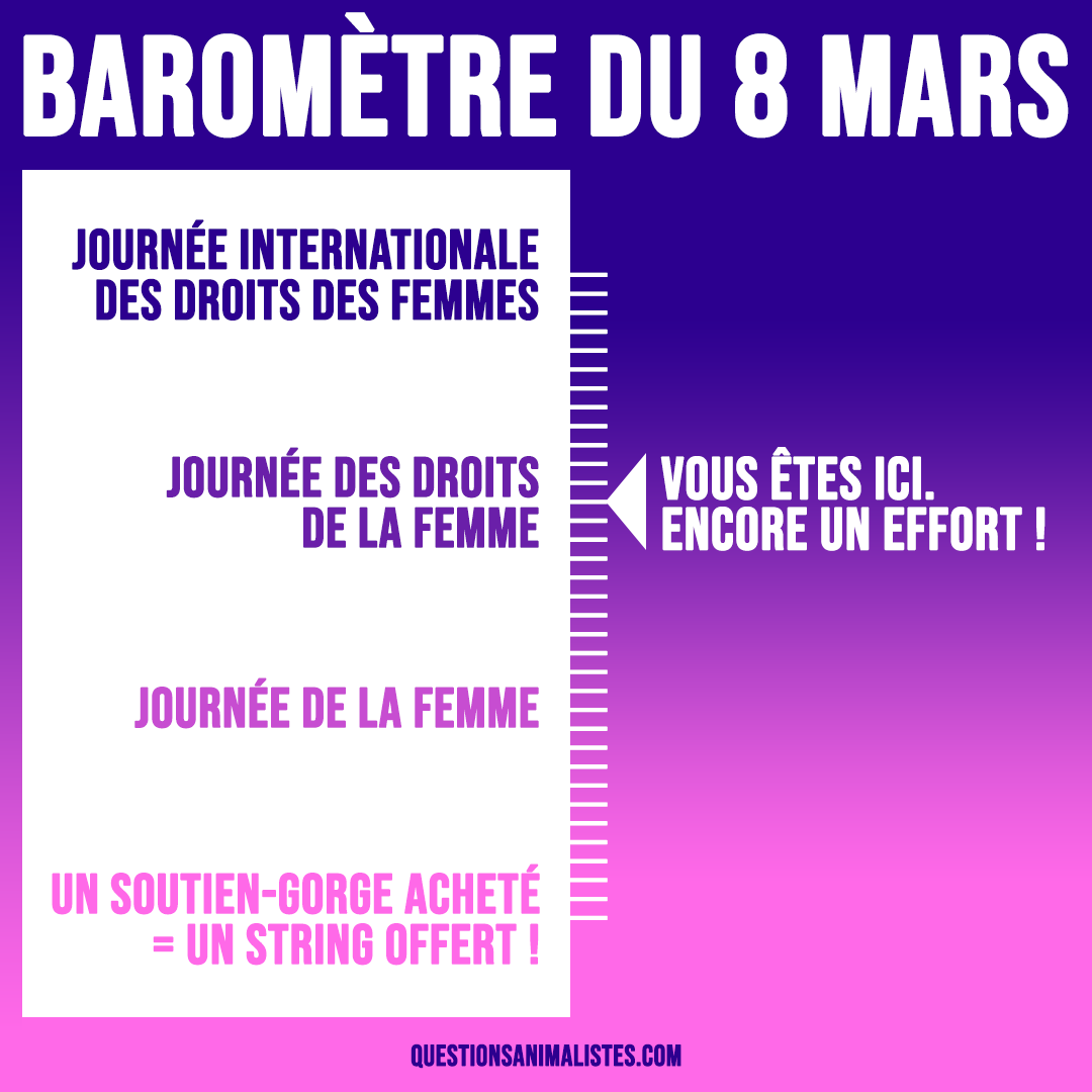 FlorenceDell's tweet photo. ✊Aujourd'hui c'est le #8mars ! 

👉C'est la Journée internationale des droits des femmes, pas la journée de la femme ou la fête des fleurs.

📏Petit baromètre à utiliser librement pour rectifier le tir. https://t.co/V7Md2HpsUT

#JourneeInternationaleDesDroitsDesFemmes https://t.co/el4OI3tCm5