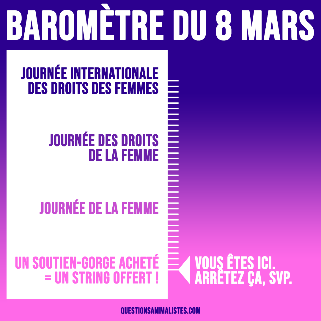FlorenceDell's tweet photo. ✊Aujourd'hui c'est le #8mars ! 

👉C'est la Journée internationale des droits des femmes, pas la journée de la femme ou la fête des fleurs.

📏Petit baromètre à utiliser librement pour rectifier le tir. https://t.co/V7Md2HpsUT

#JourneeInternationaleDesDroitsDesFemmes https://t.co/el4OI3tCm5