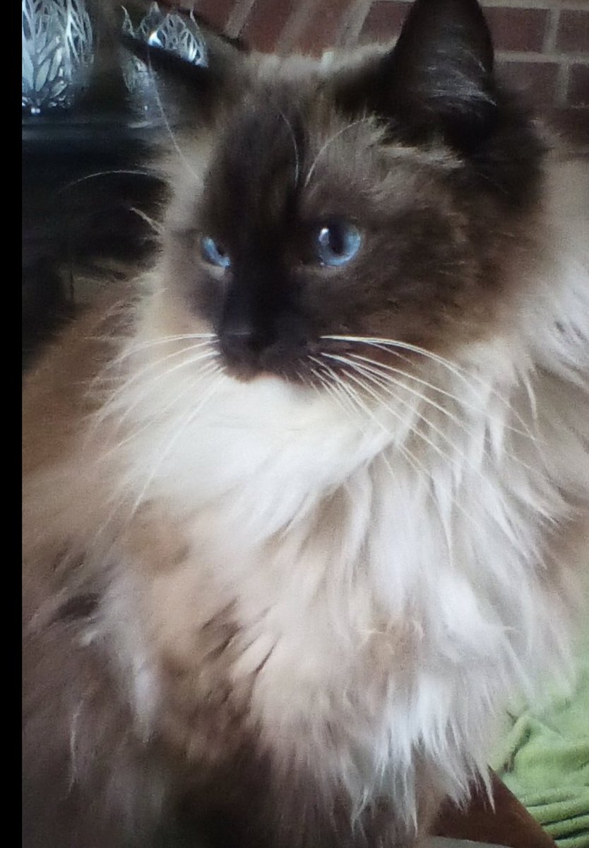 HELLO THERE MY LOVELY FRIENDS 💕 HOPE YOU ARE ALL KEEPING WELL 💕 IT'S SNOWING HERE A LITTLE TODAY 💕 SENDING MUCH LOVE AND HUGS FOR  YOU ALL💕 FROM YOUR FRIEND ALWAYS 💕 WALTER WILLIAM 💕