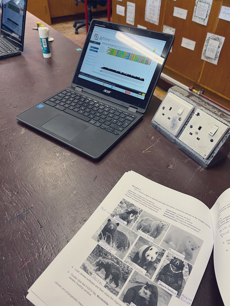 Miss Ogilvie tweet media