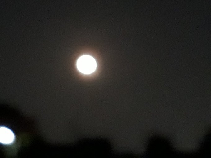月がきれいですね！低くてオレンジ色で美味しそうです。 