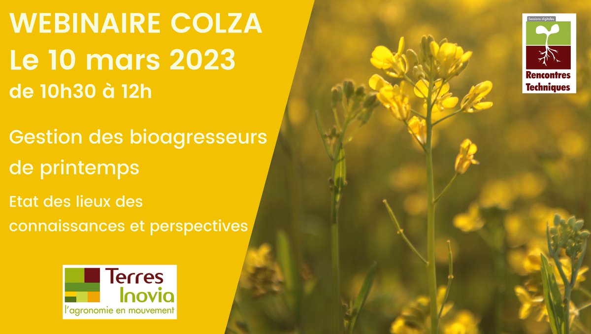 𝗗𝗲𝗿𝗻𝗶𝗲𝗿 𝗷𝗼𝘂𝗿 𝗽𝗼𝘂𝗿 𝘃𝗼𝘂𝘀 𝗶𝗻𝘀𝗰𝗿𝗶𝗿𝗲 !
Webinaire 𝗴𝗲𝘀𝘁𝗶𝗼𝗻 𝗱𝗲𝘀 #𝗯𝗶𝗼𝗮𝗴𝗿𝗲𝘀𝘀𝗲𝘂𝗿𝘀 𝗱𝗲 𝗽𝗿𝗶𝗻𝘁𝗲𝗺𝗽𝘀 𝗲𝗻 #𝗰𝗼𝗹𝘇𝗮
📅10 mars 2023
🕜De 10h30 à 12h00
📌 terresinovia.fr/-/gestion-des-…