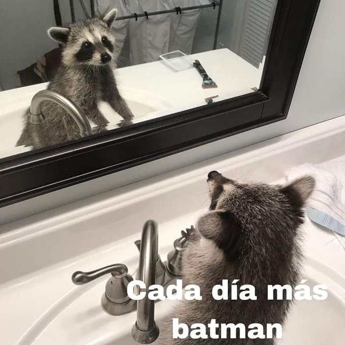 Watch elenita's leaked NSFW photo on TwXstars